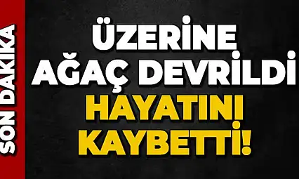 Değirmendere'de Korkunç Ölüm