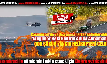 Karamürsel'de başlayan Orman Yangını Evlere Sıçradı!