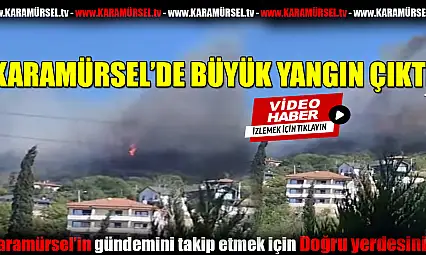 Karamürsel'de büyük yangın!