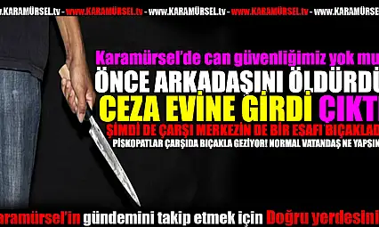 Karamürsel'de Cinayet Zanlısı, Esnafı Bıçakladı!