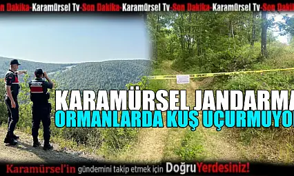 Karamürsel'de Jandarma Denetimleri Sürüyor