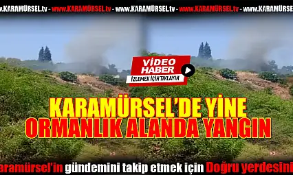 Karamürsel'de Korkutan Yangın!