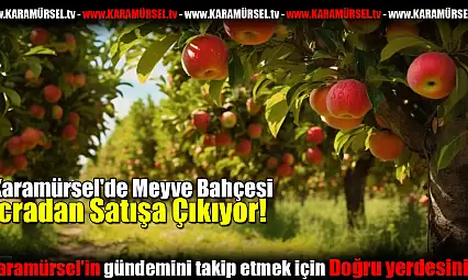 Karamürsel'de Meyve Bahçesi Satışa Çıkıyor!
