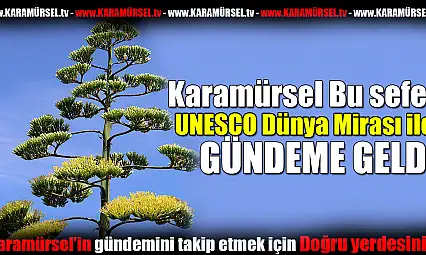 Karamürsel Ereğli'de Doğa Mucizesi