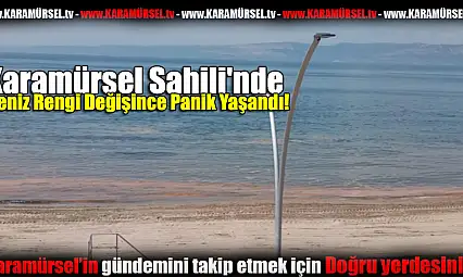 Karamürsel Sahili'nde Deniz Rengi Değişince Panik Yaşandı!