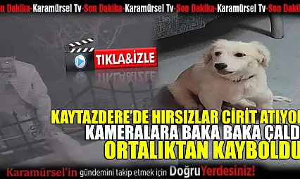 Kaytazdere'de hırsızlar cirit atıyor!