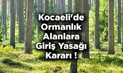 Kocaeli genelindeki tüm Ormanlara Girişler yasaklandı