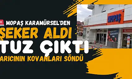 Mopaş'tan aldığı ürün arılarını öldürdü!