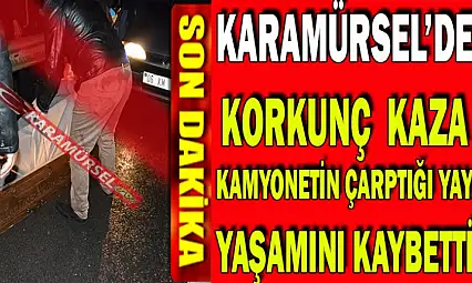 SON DAKİKA  KARAMÜRSEL'DE  KAMYONETİN ÇARPTIĞI YAYA ÖLDÜ