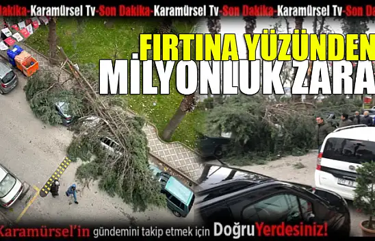 Araçların üzerine ağaç devrildi