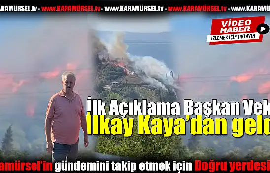 Başkan Vekili Kaya'dan Kritik Yangın Açıklaması
