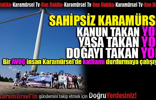 Çevre katliamı durdurulamıyor!