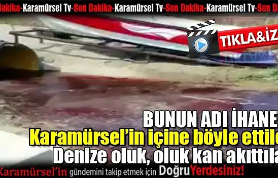 Denize oluk, oluk kan akıttılar!