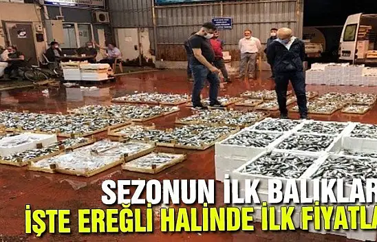 Ereğli balık halinde bereket var