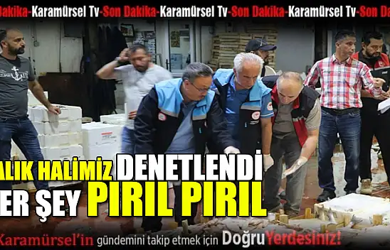 Ereğli Balık Halinde Su Ürünleri Denetimi Gerçekleştirildi