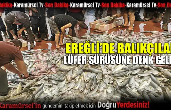 Ereğli'de balıkçılar lüfer sürüsüne denk geldi
