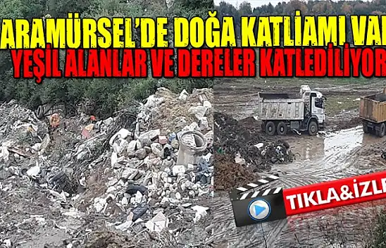 Karamürsel'de çevre katliamına tepkiler çığ gibi büyüyor!