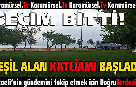 Seçim bitti, yeşil alanlar katledilmeye başladı!