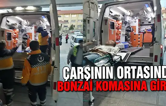 KARAMÜRSEL MERKEZDE BONZAİ KOMASINA GİRDİ