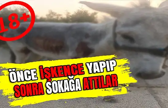 KARAMÜRSEL'DE İNSANLIĞA SIĞMAYAN VAHŞET