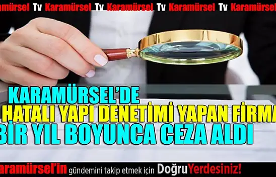 Hatalı denetim yapan firma ve sahibi ceza aldı
