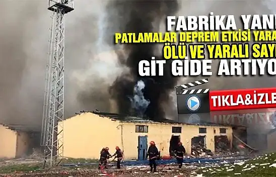 Havai fişek fabrikası alev alev yandı
