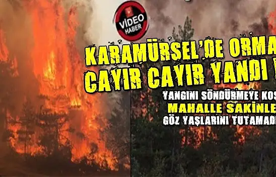 Karamürsel çamlık mevkiinde orman cayır, cayır yandı!