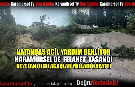 Karamürsel'de ağaçlar devrildi yollar kapandı