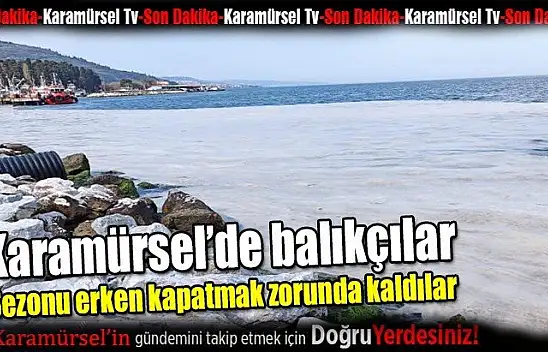 Karamürsel'de balık sezonu erken kapandı!