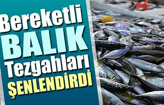 Karamürsel'de balık tezgahları şenlendi