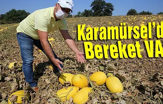 Karamürsel'de bereket var!