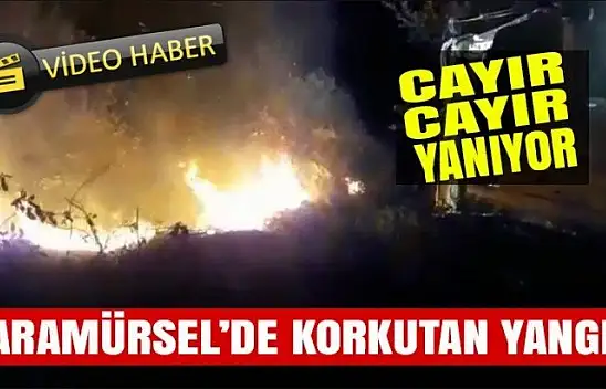 Karamürsel'de büyük yangın!