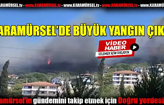 Karamürsel'de büyük yangın!
