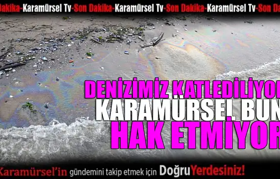 Karamürsel'de deniz katlediliyor!