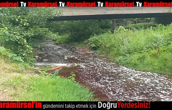 Karamürsel'de derelerden yine kan aktı