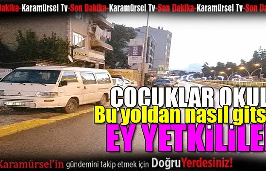 Karamürsel'de Hatalı Park Sorunu Tehlike Saçıyor