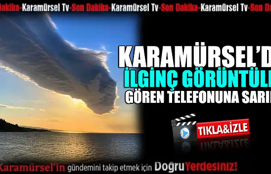Karamürsel'de ilginç görüntüler: Gören telefona sarıldı
