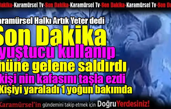 Karamürsel'de Kan Donduran Saldırılar: İlçe Şokta