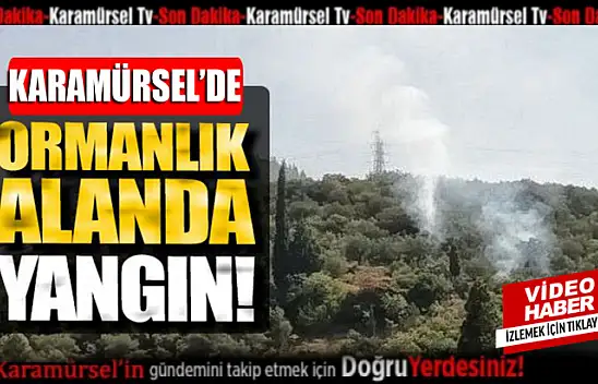 Karamürsel'de korkutan orman yangını