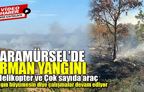 Karamürsel'de Orman Yangını! Ekipler Hızla Müdahale Etti