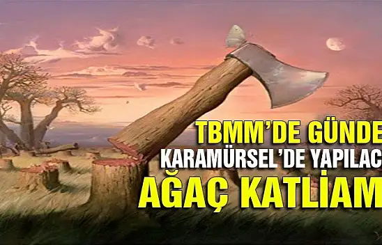 Karamürsel'de planlanan katliam meclis gündeminde! 