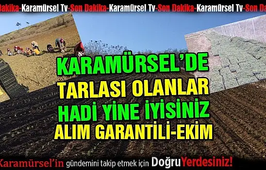 Karamürsel'de tarlası olanlar alım garantili ekim yapar mısınız?