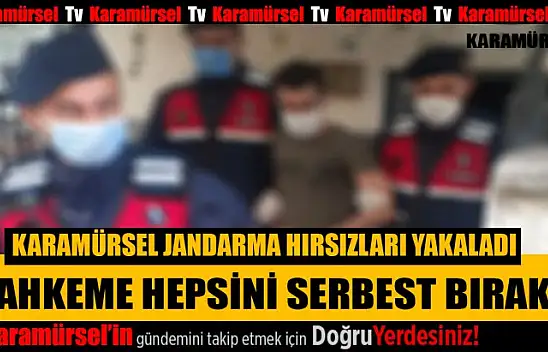 Karamürsel'de yakalanan hırsızların hepsi serbest kaldı