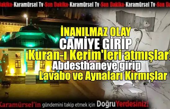 Karamürsel'de Yaşanan Vandalizm Olayları Tepki Çekti