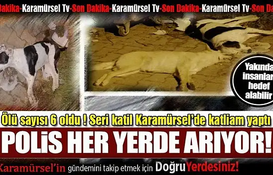 Karamürsel'deki seri katil her yerde aranıyor!