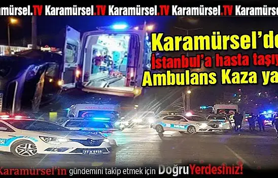 Karamürsel'den çıkan ambulansa çarptılar