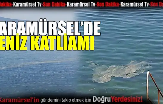 Karamürsel'i kirleten gemilere ne zaman önlem alınacak?