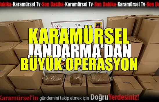Karamürsel Jandarma'dan büyük operasyon
