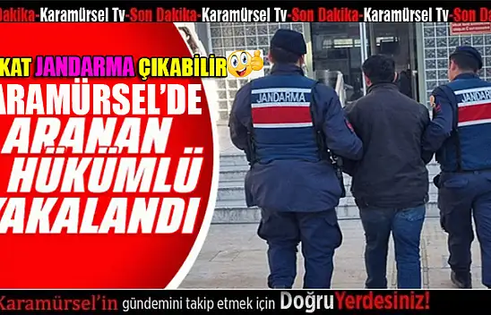 Karamürsel Jandarma hız kesmiyor! Aranan şahıs yakalandı