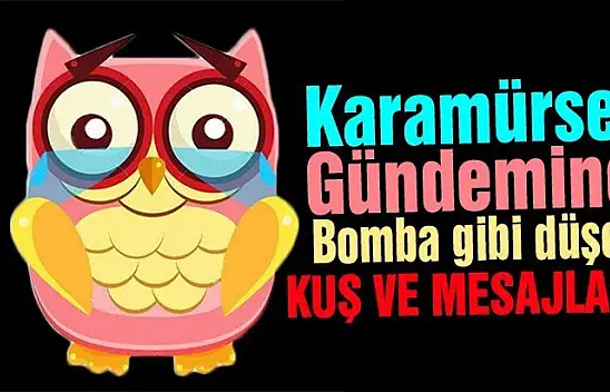 Karamürsel kuşu ilçeye bomba gibi düştü!